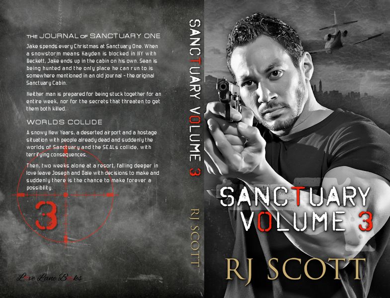 Sanctuary Series, RJ Scott, MM Romance, Gay Romance, Action Adventure