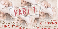 Waiting for Christmas - a FREE advent read from RJ Scott & VL Locey