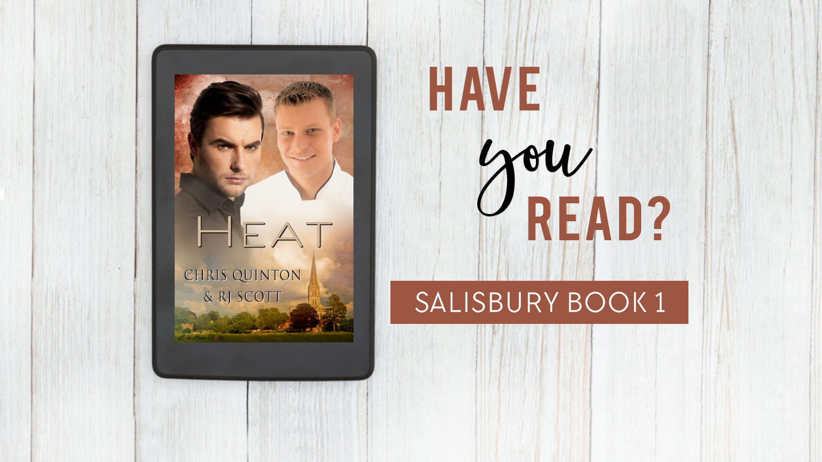 Have you read Heat Salisbury Series MMRomance RJ Scott Chris Quinton