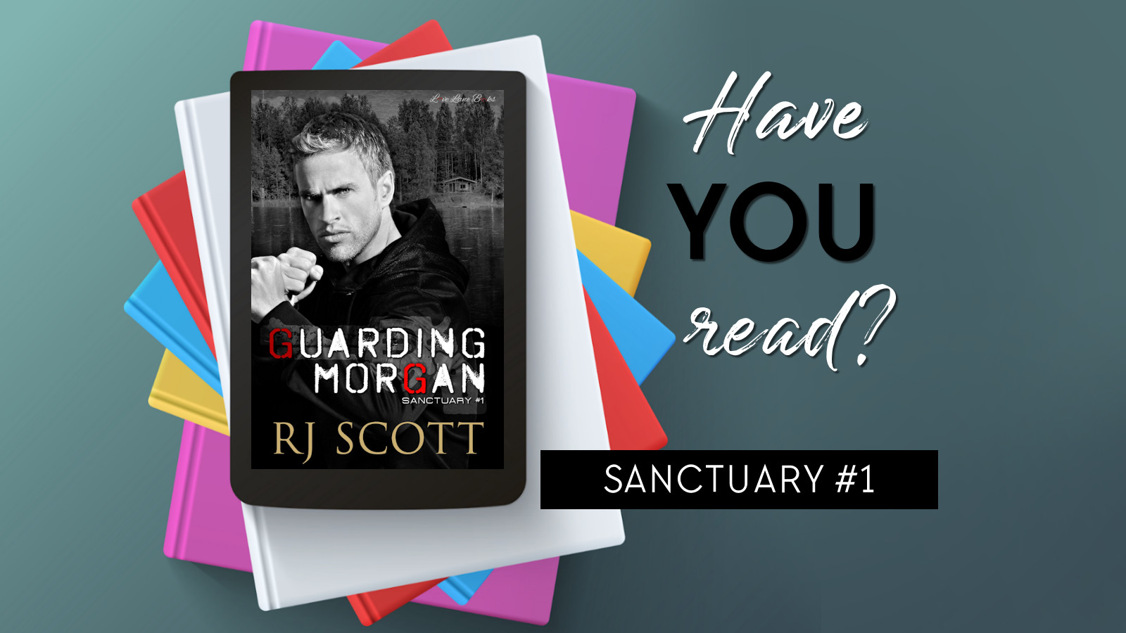 Have you read Sanctuary Series MMRomance RJ Scott