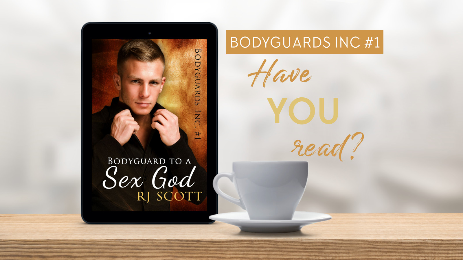 Have you read Bodyguards Inc MMRomance RJ Scott