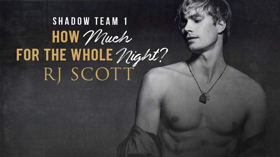 Shadow Team 1 - How Much for the Whole Night - RJ Scott MM Romance