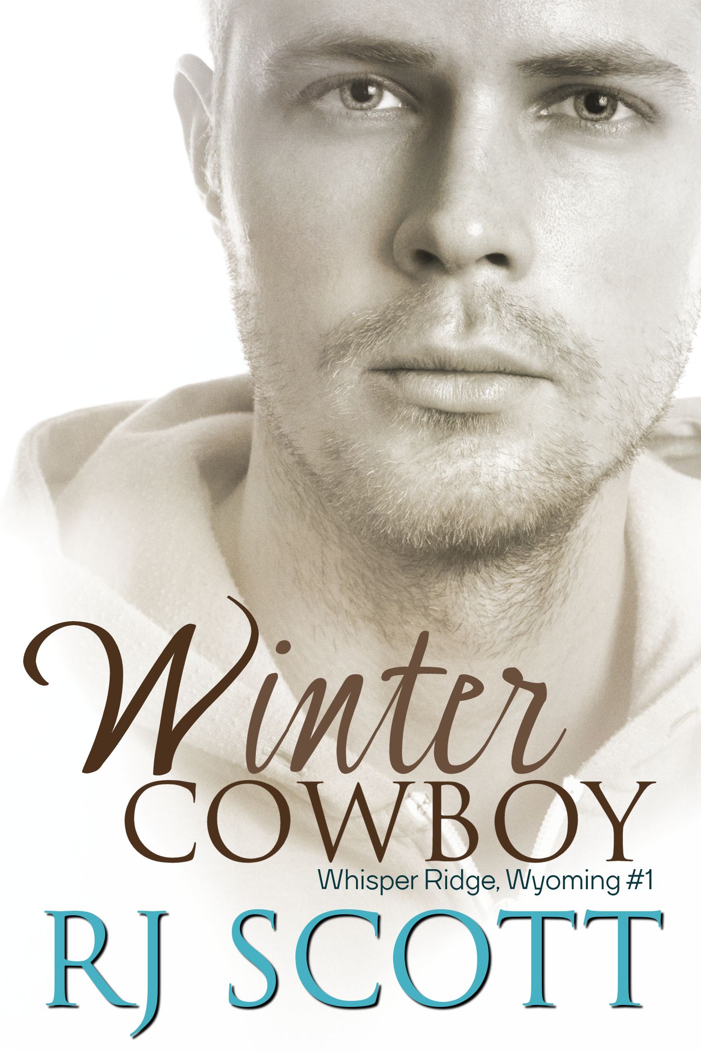 Winter Cowboy Sale RJ Scott MM Romance